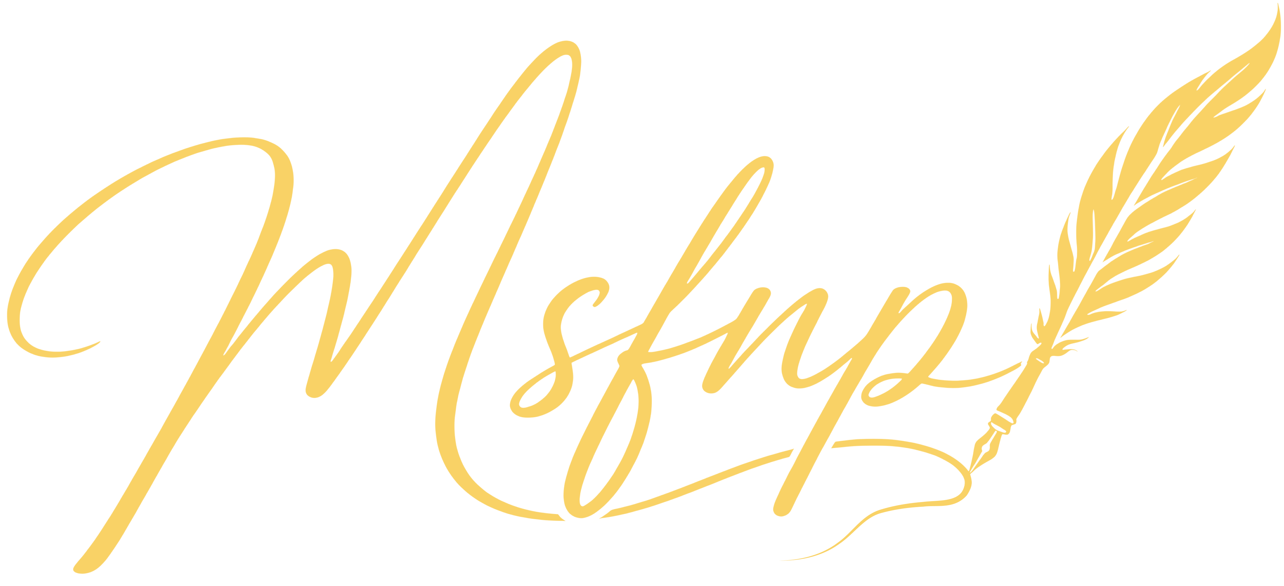 MSFNP Consulting